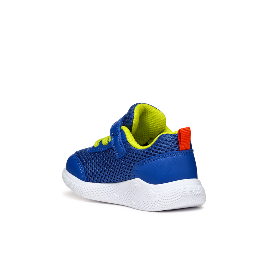 Geox - B Sprintye Boy - Royal/Red - Trainers