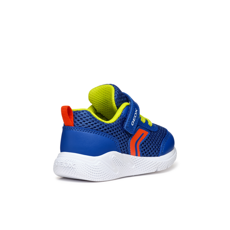 Geox - B Sprintye Boy - Royal/Red - Trainers