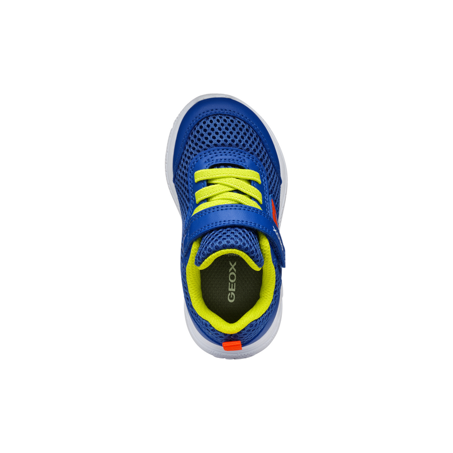 Geox - B Sprintye Boy - Royal/Red - Trainers