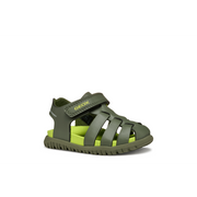 Geox - B Sandal Fusbetto - Sage - Sandals