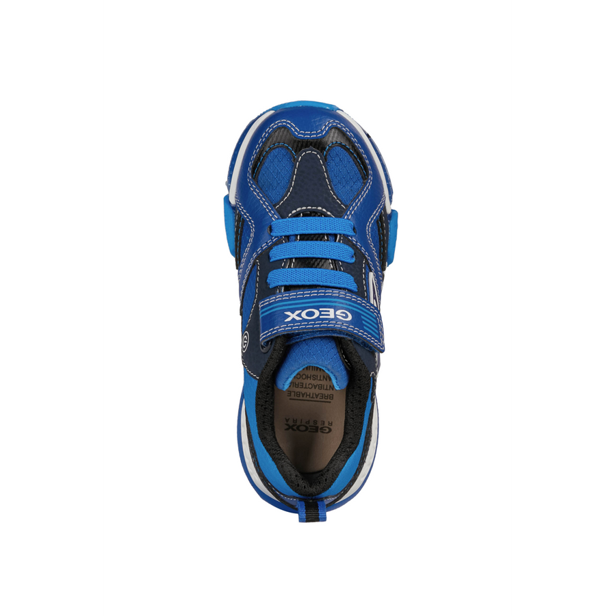Geox - J Bayonyc Boy - Royal/Lt Blue - Trainers