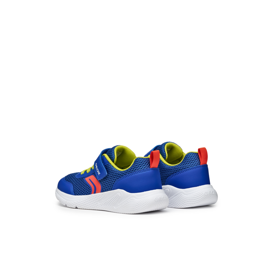 Geox - J Sprintye Boy - Royal/Red - Trainers