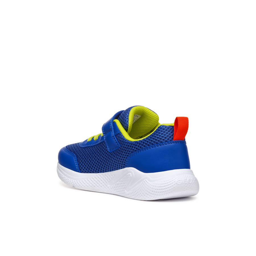 Geox - J Sprintye Boy - Royal/Red - Trainers