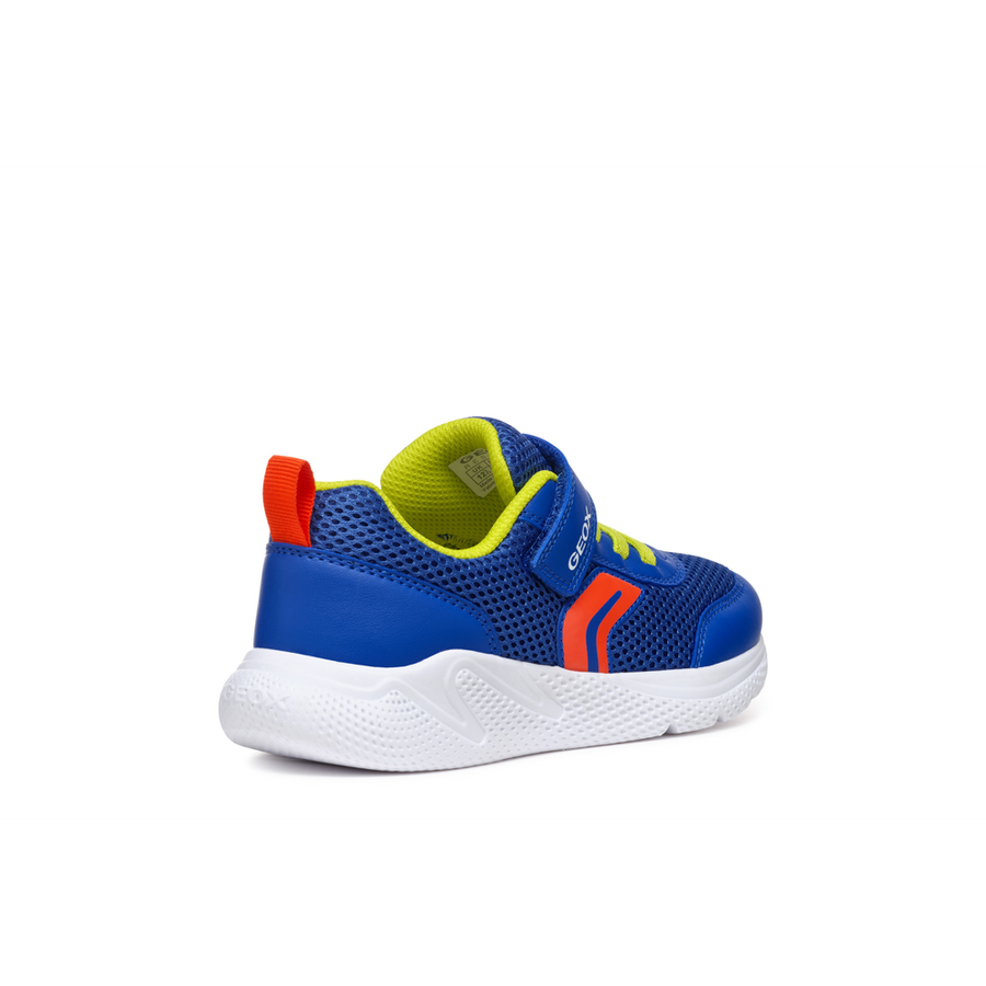 Geox - J Sprintye Boy - Royal/Red - Trainers