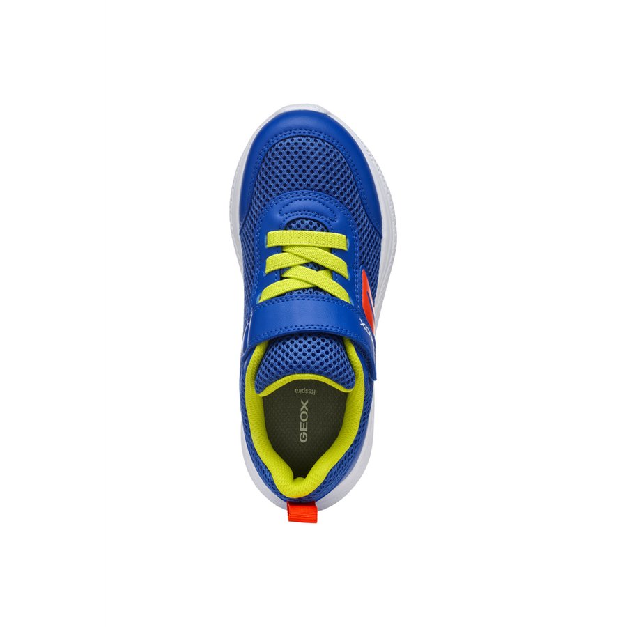 Geox - J Sprintye Boy - Royal/Red - Trainers