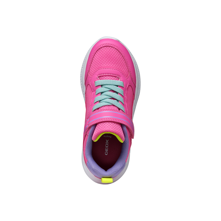 Geox - J Sprintye Girl A - Fluo Fuschia/Dk Lilac - Trainers
