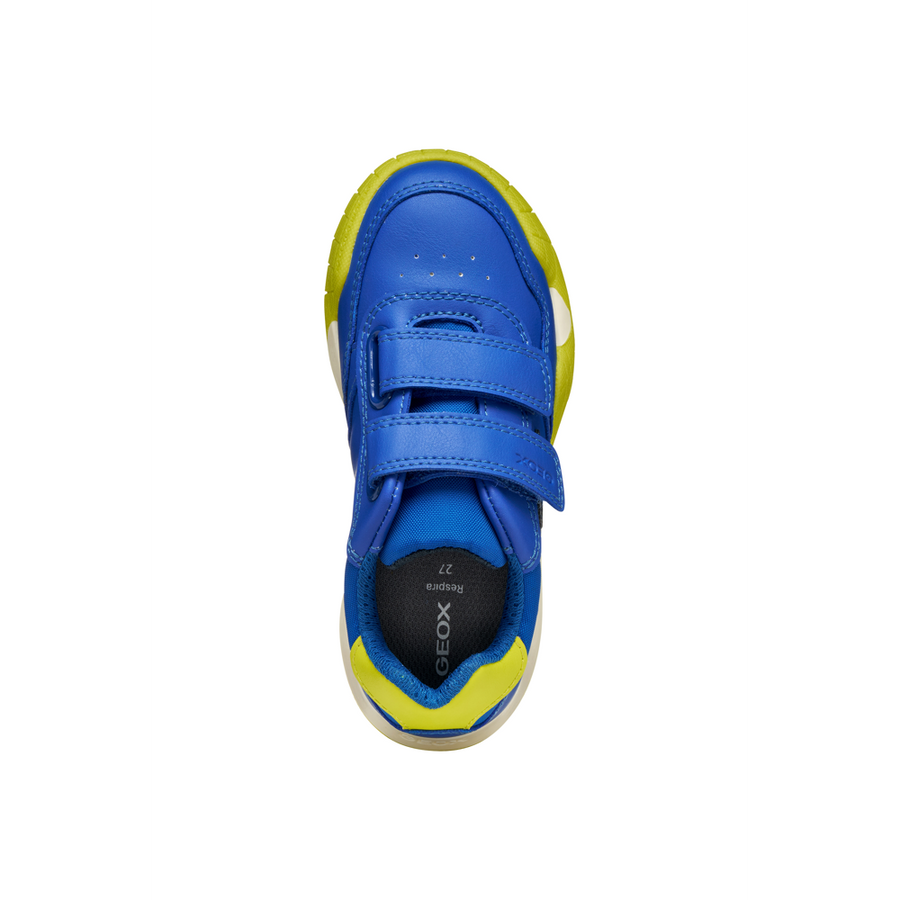 Geox - J Ranne- Boy - Royal/Lime - Trainers