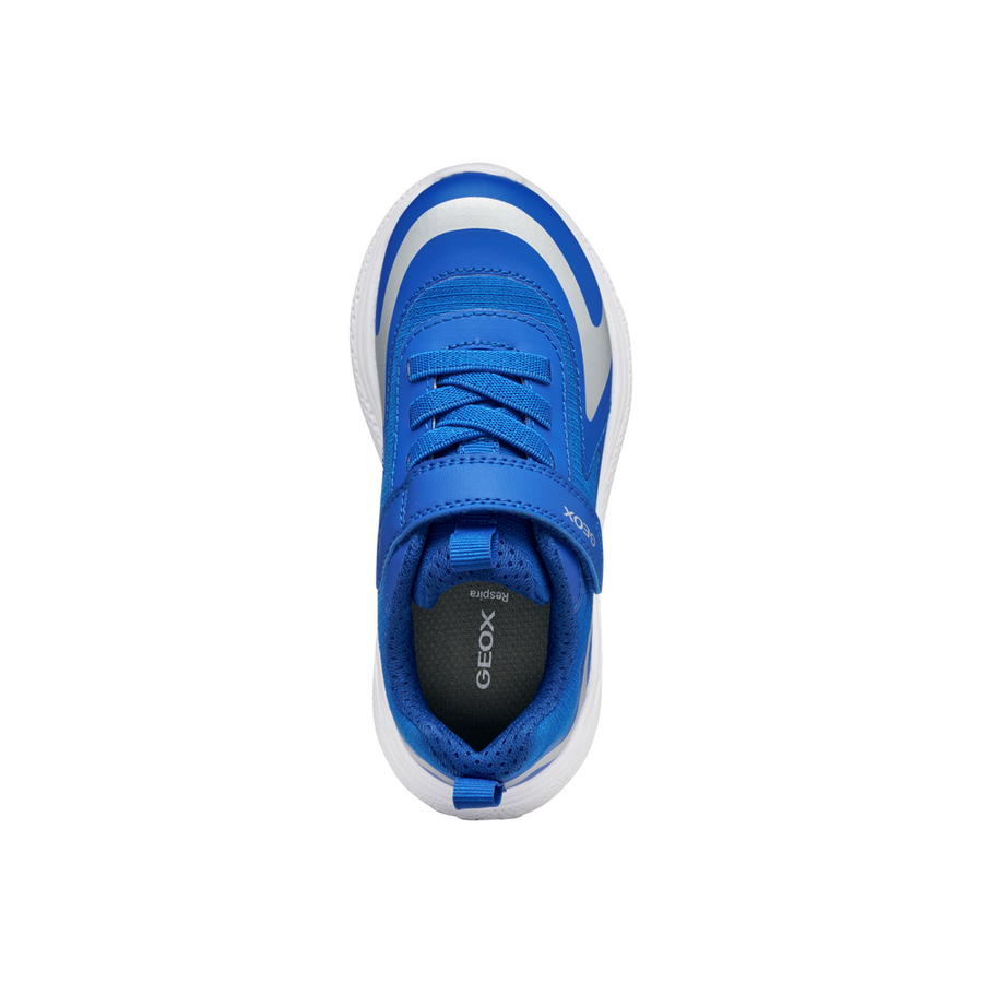 Geox - J Sprintye Boy Wr - Royal - Trainers