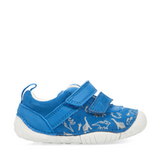 Roar - Bright Blue Nubuck