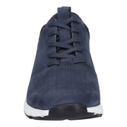 Noah 02 - Jeans