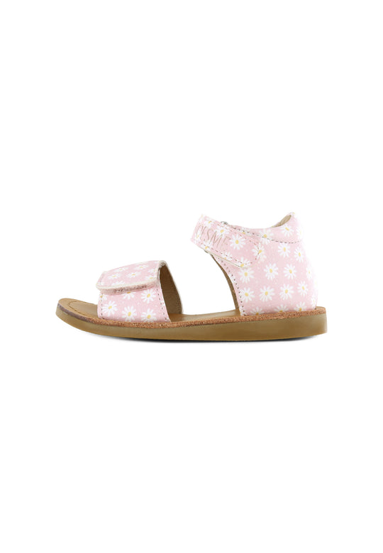 CS23S010-C - Pink Flowers