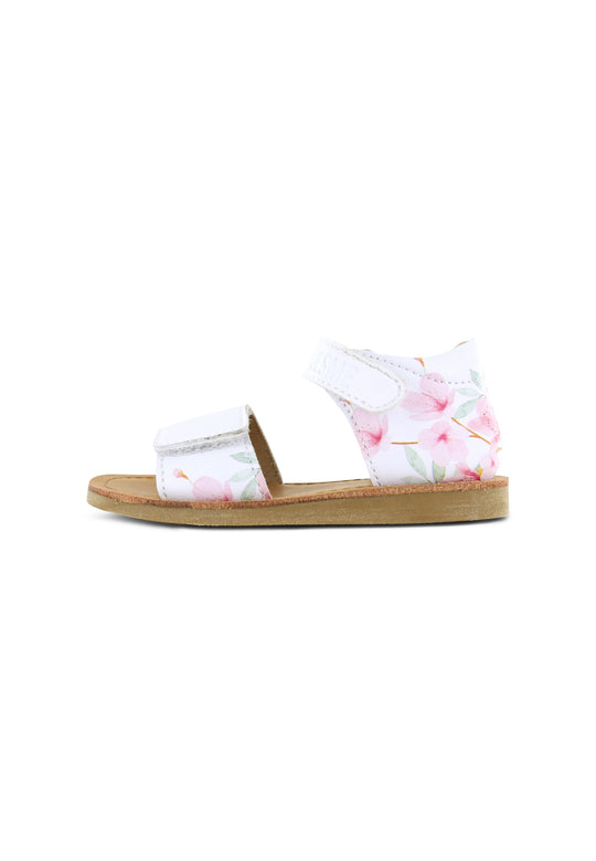CS23S014-B - White Pink Flowers