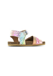 IC23S004-D - Multicolor