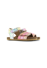 IC23S004-D - Multicolor